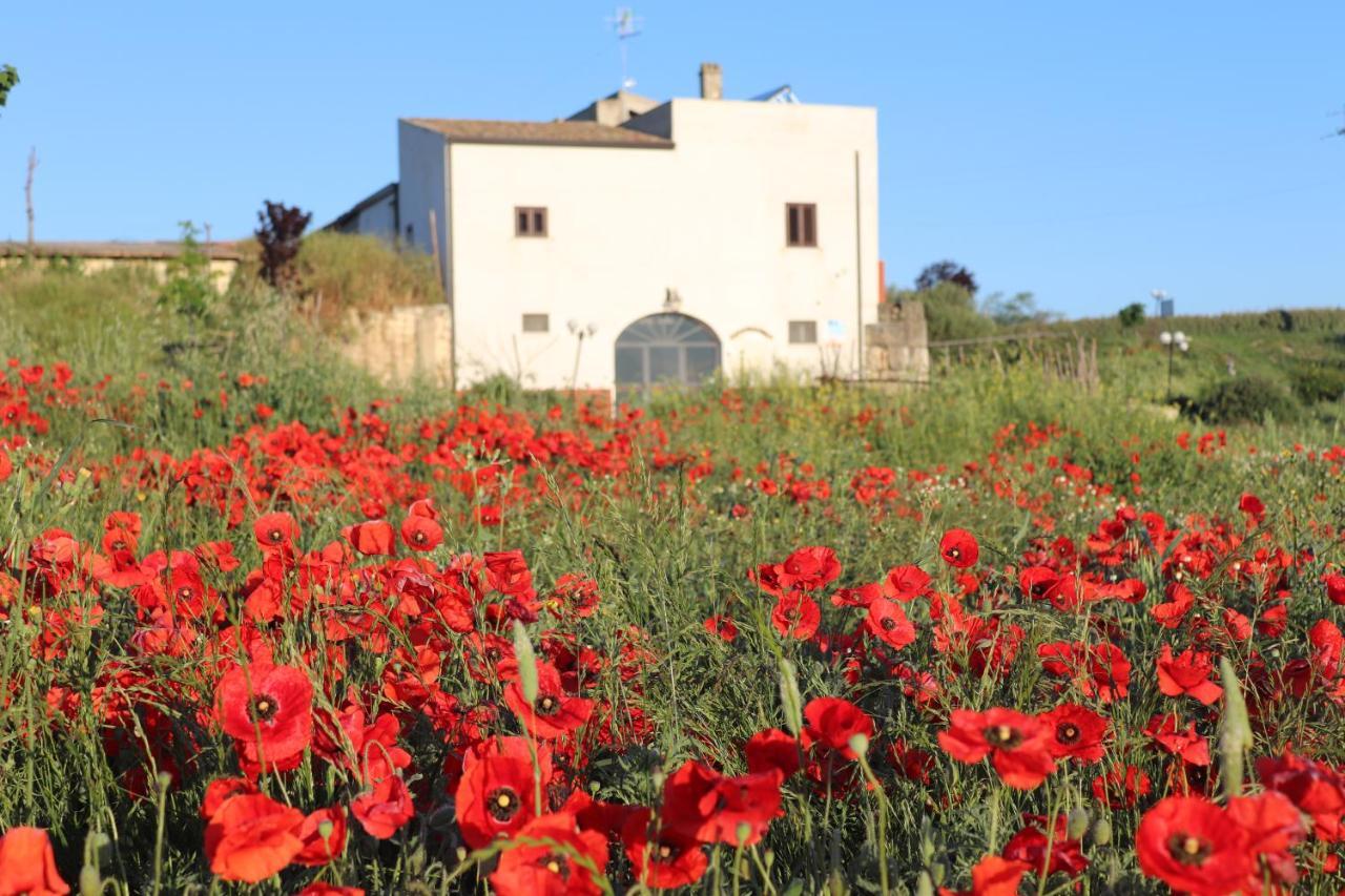 Masseria Agriturismo Moschella Posta Piana Екстер'єр фото