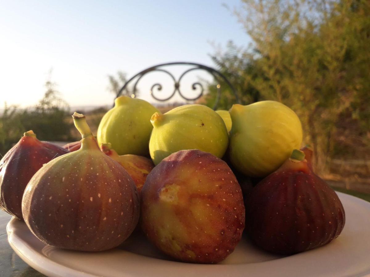 Masseria Agriturismo Moschella Posta Piana Екстер'єр фото
